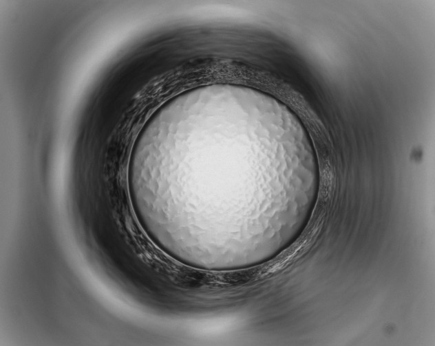 X0000098030765200804181229