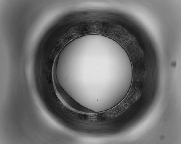 X0000098030766200804181229