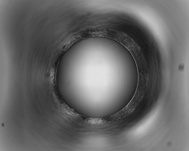 X0000098030767200804181229