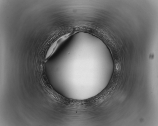 X0000098030771200804181228