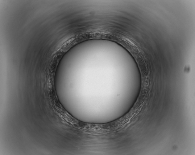 X0000098030774200804181228