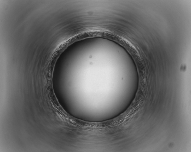 X0000098030775200804181228