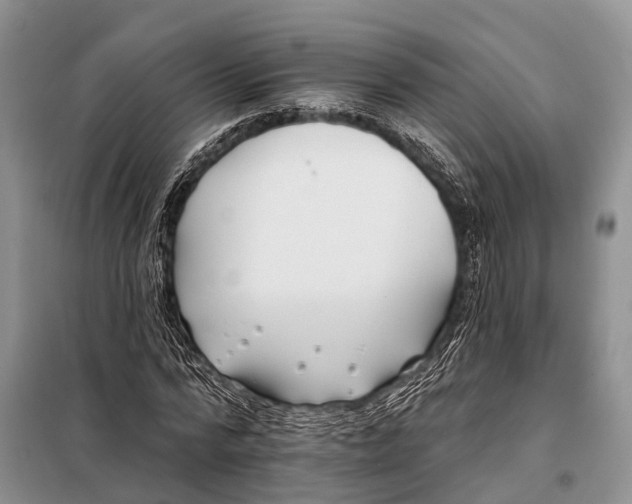 X0000098030776200804181228