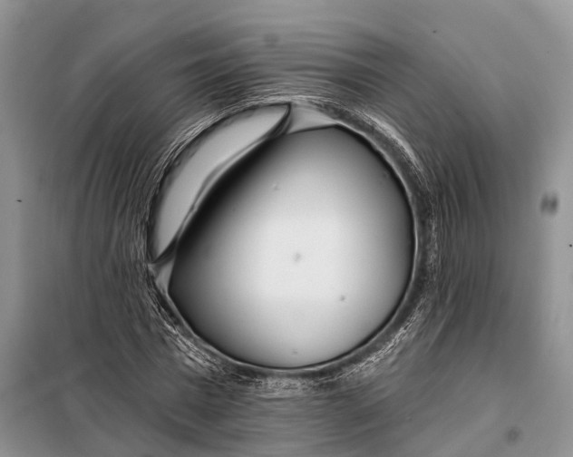 X0000098030777200804181228