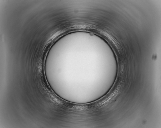 X0000098030778200804181228