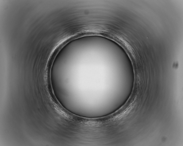 X0000098030779200804181228