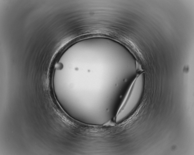 X0000098030780200804181228