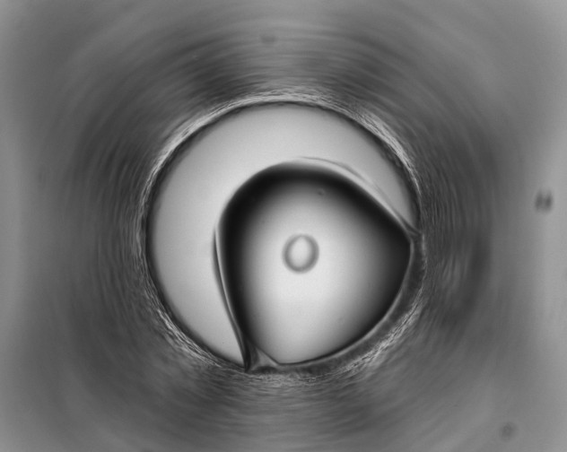 X0000098030781200804181228