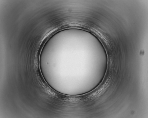 X0000098030782200804181228