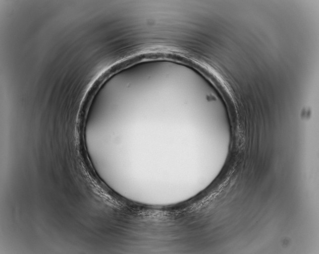 X0000098030783200804181228