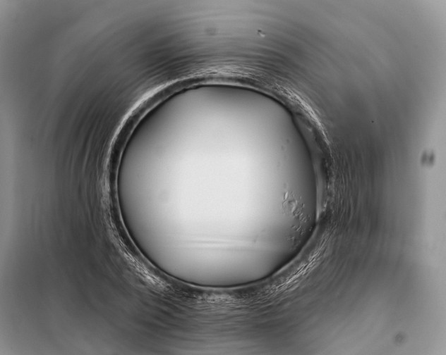 X0000098030784200804181228