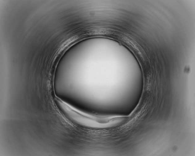 X0000098030786200804181228