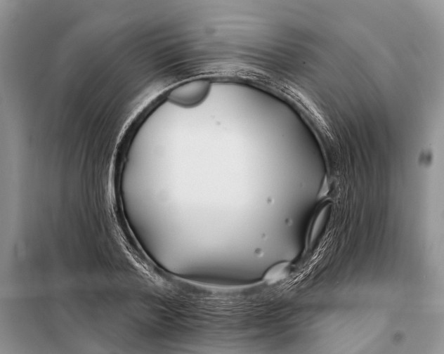 X0000098030788200804181228