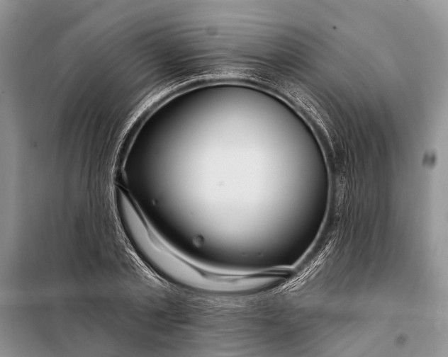 X0000098030789200804181228