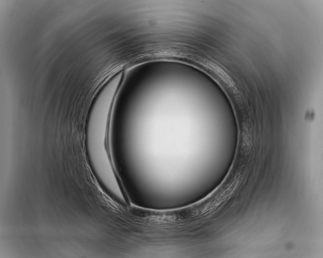 X0000098030793200804181228