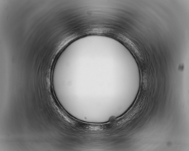 X0000098030794200804181228