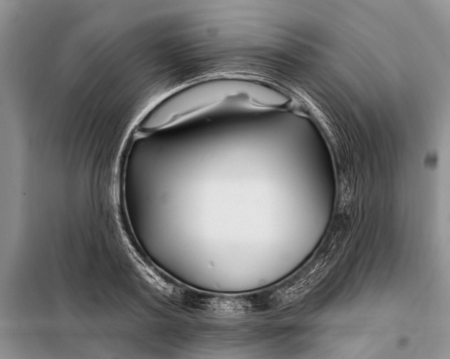 X0000098030795200804181228