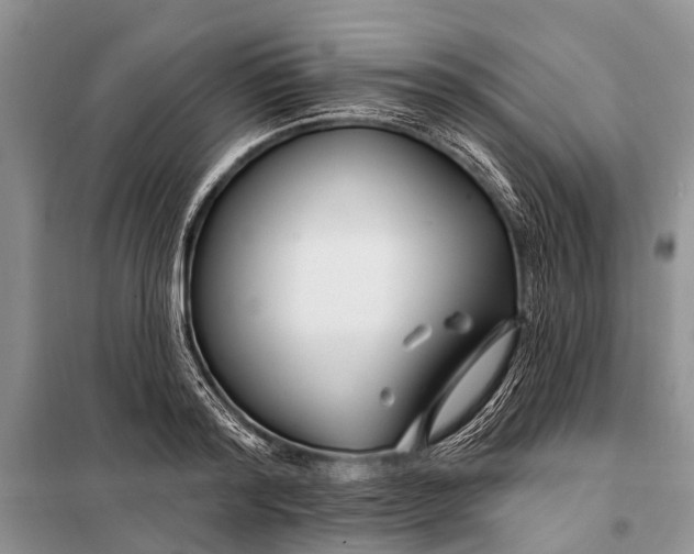 X0000098030796200804181228