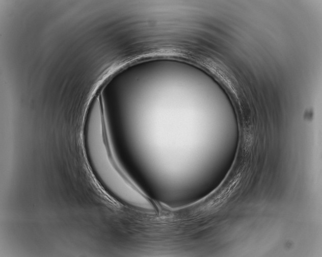 X0000098030797200804181228