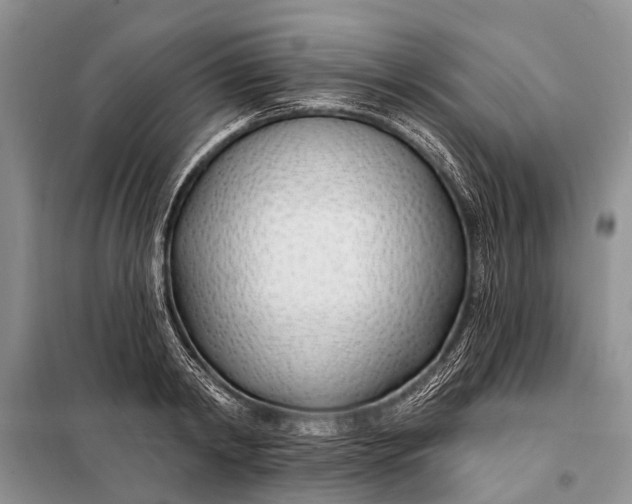 X0000098030798200804181228