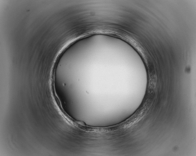 X0000098030803200804181228