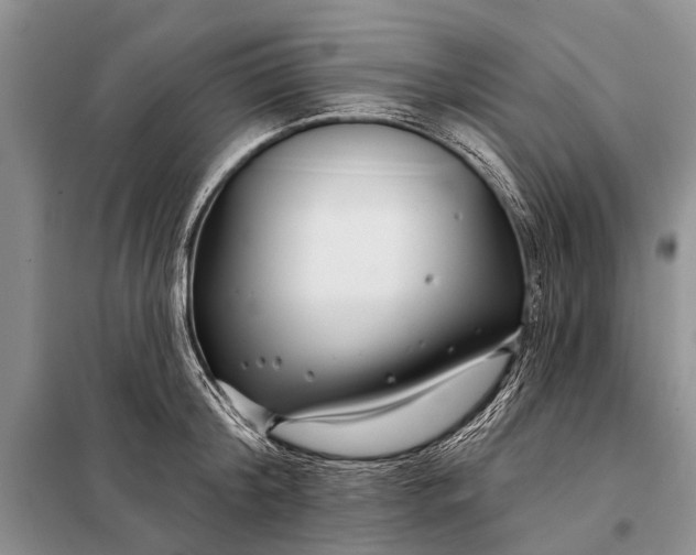 X0000098030804200804181228