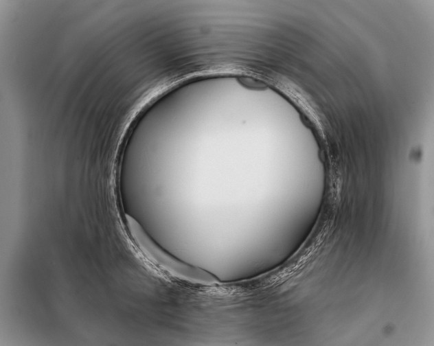 X0000098030805200804181228