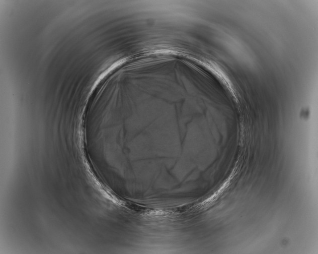 X0000098030806200804181228