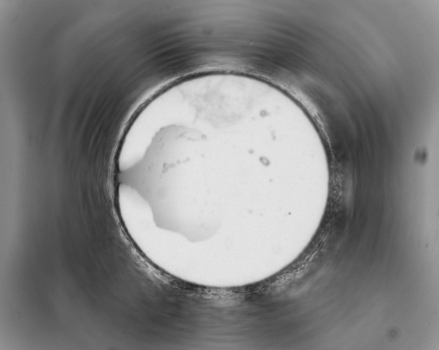 X0000098030807200804181228