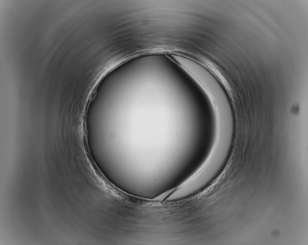 X0000098030810200804181228