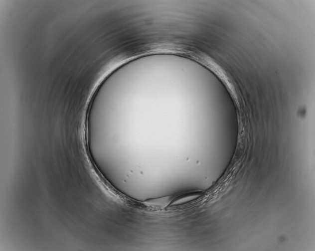 X0000098030811200804181228