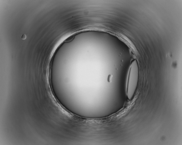 X0000098030812200804181228