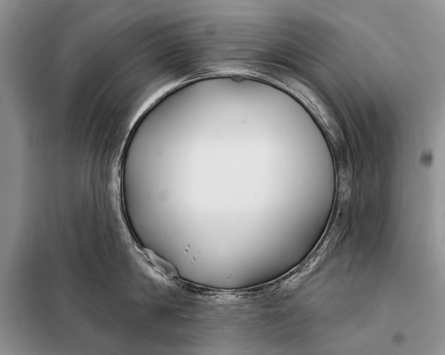 X0000098030814200804181228