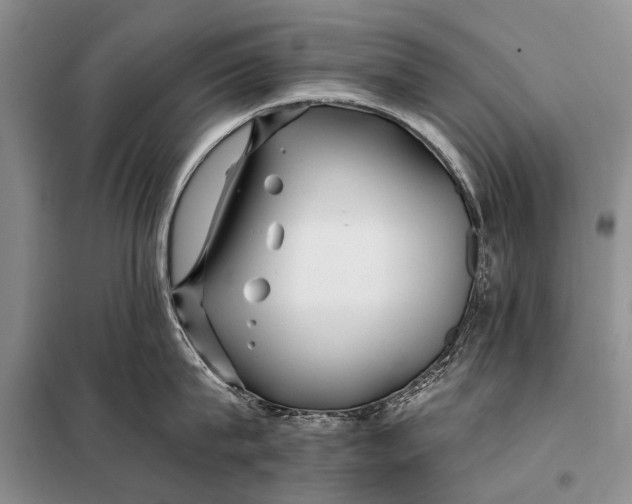 X0000098030815200804181228