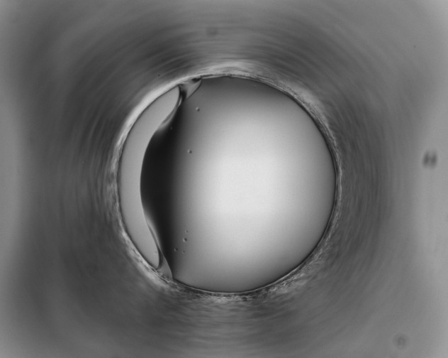 X0000098030816200804181228