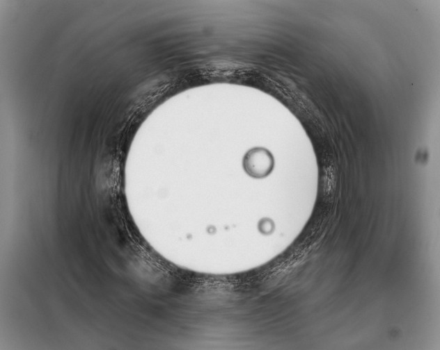 X0000098030820200804181227