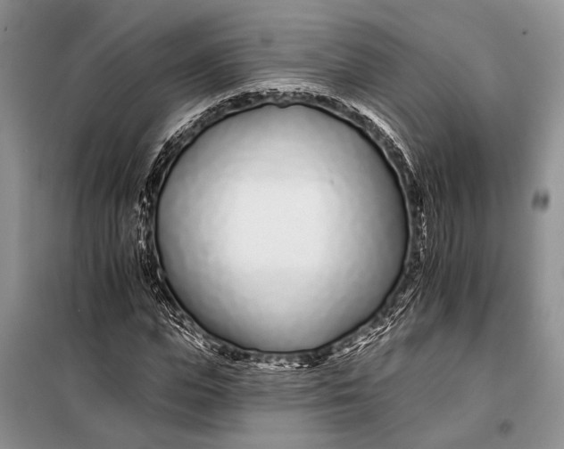 X0000098030823200804181227