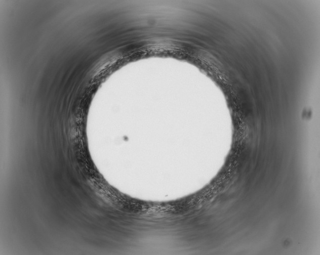 X0000098030824200804181227