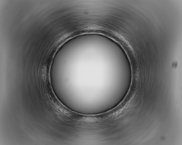 X0000098030825200804181227