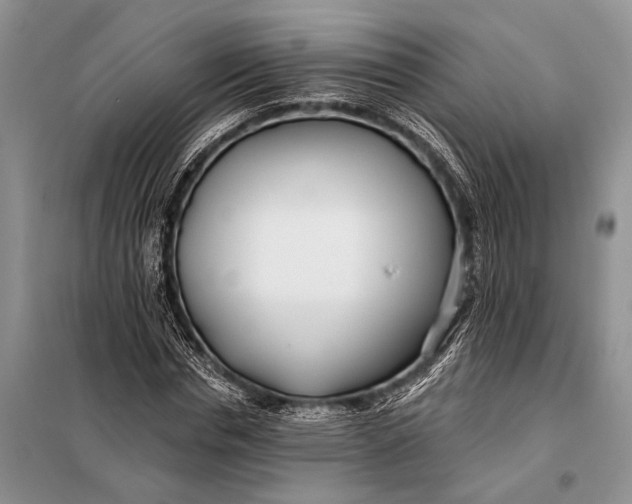 X0000098030826200804181227