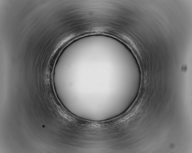 X0000098030827200804181227