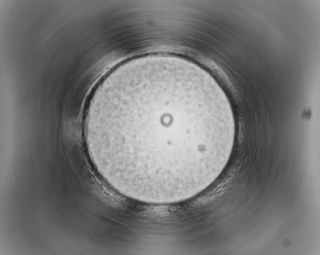 X0000098030828200804181227