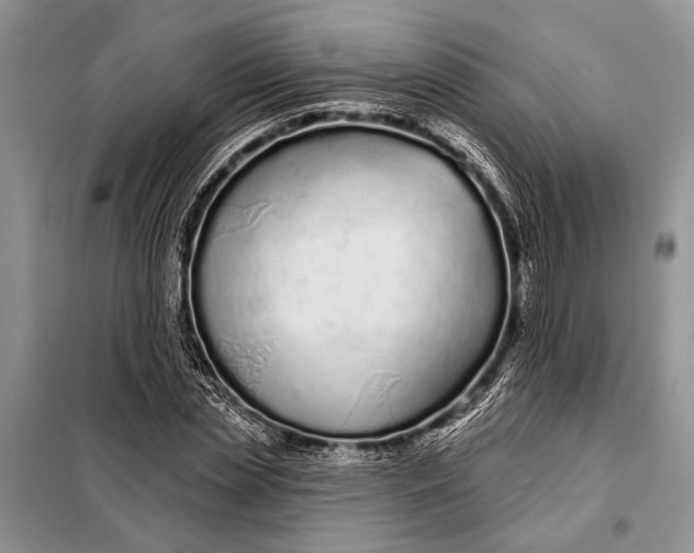 X0000098030829200804181227