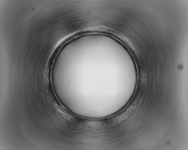 X0000098030830200804181227