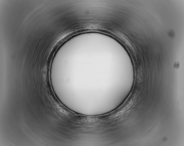 X0000098030831200804181227