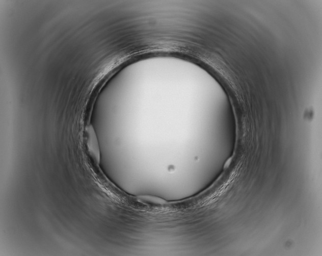 X0000098030834200804181227