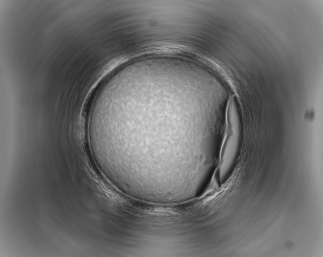 X0000098030835200804181227