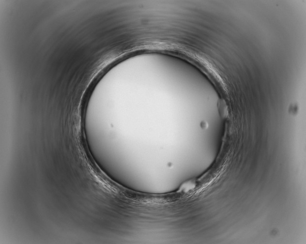 X0000098030837200804181227