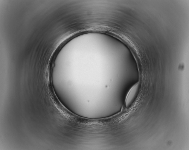 X0000098030838200804181227