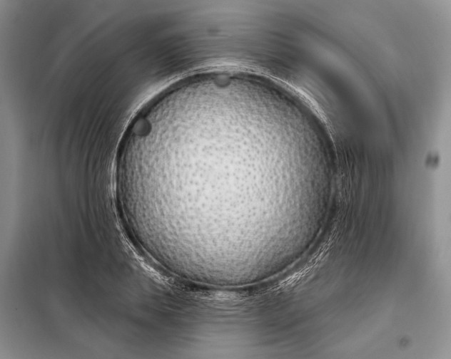 X0000098030839200804181227